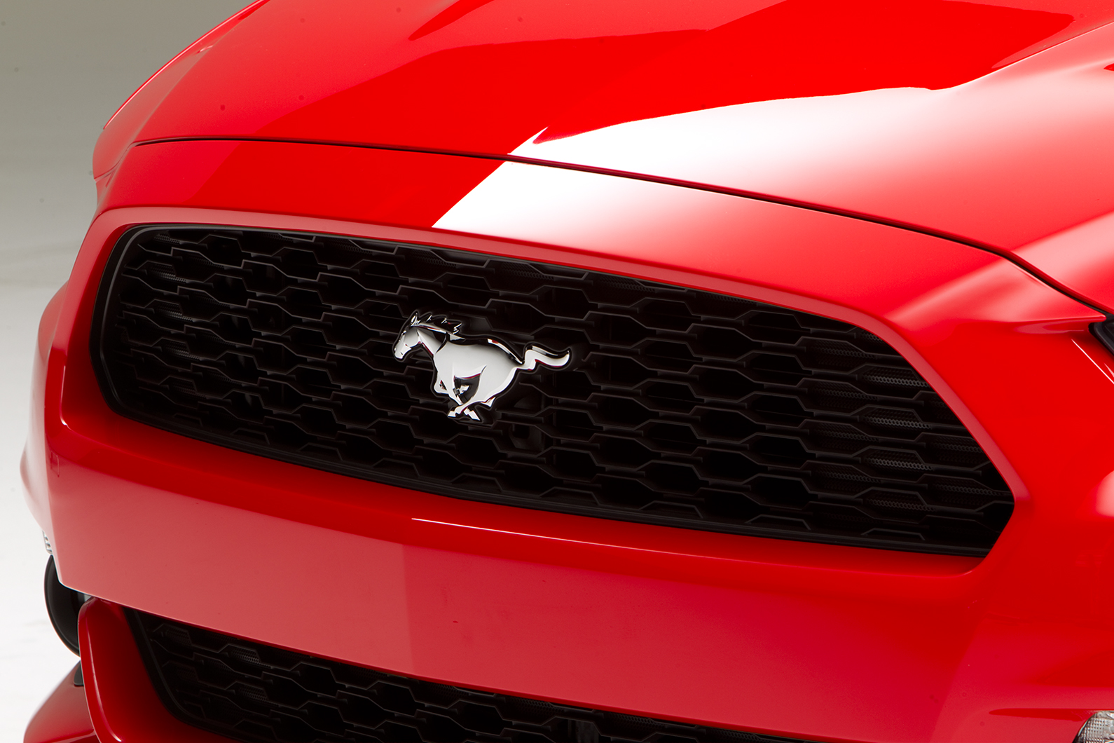 Mustang-Stan_11.jpg