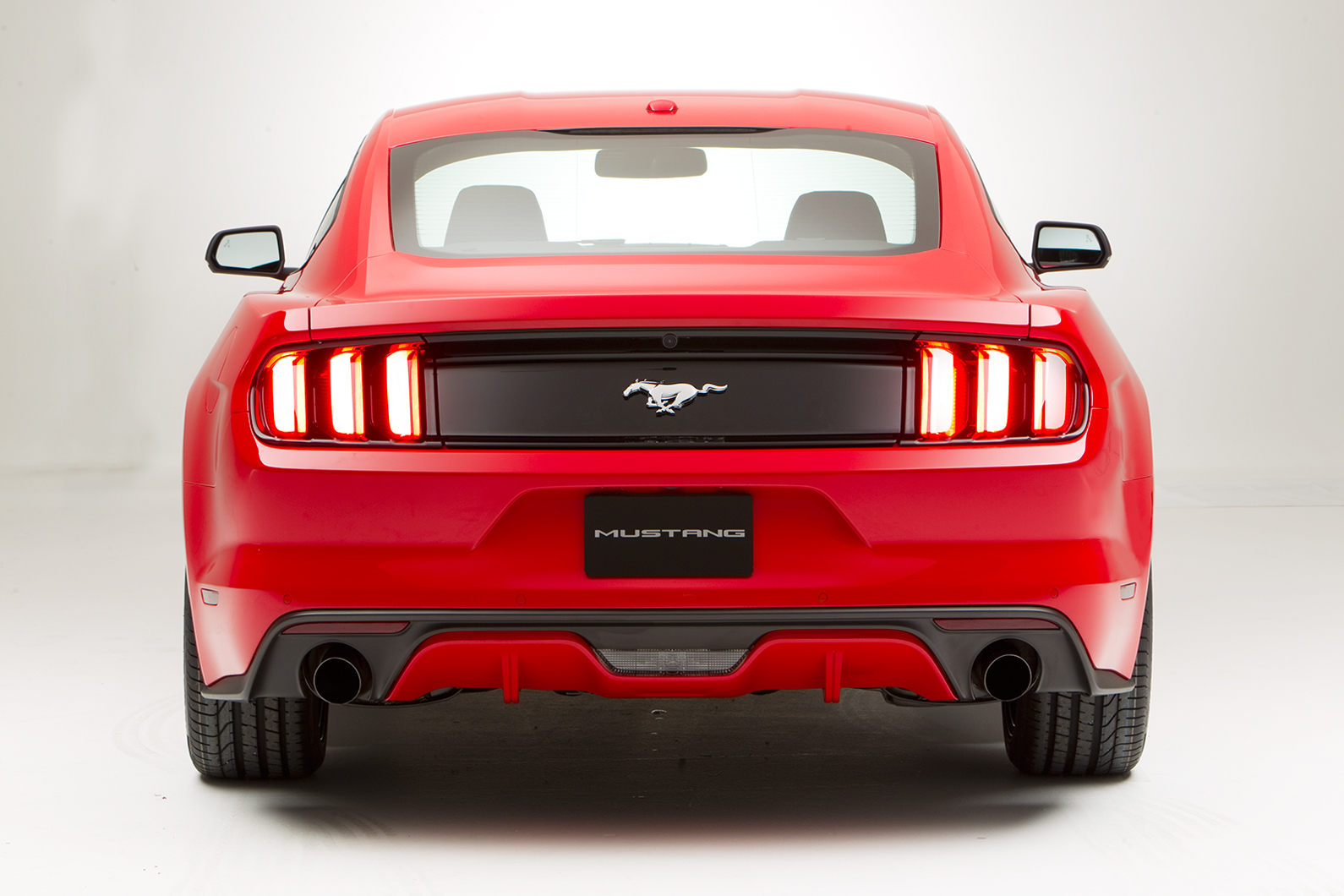 Mustang-Stan_3.jpg