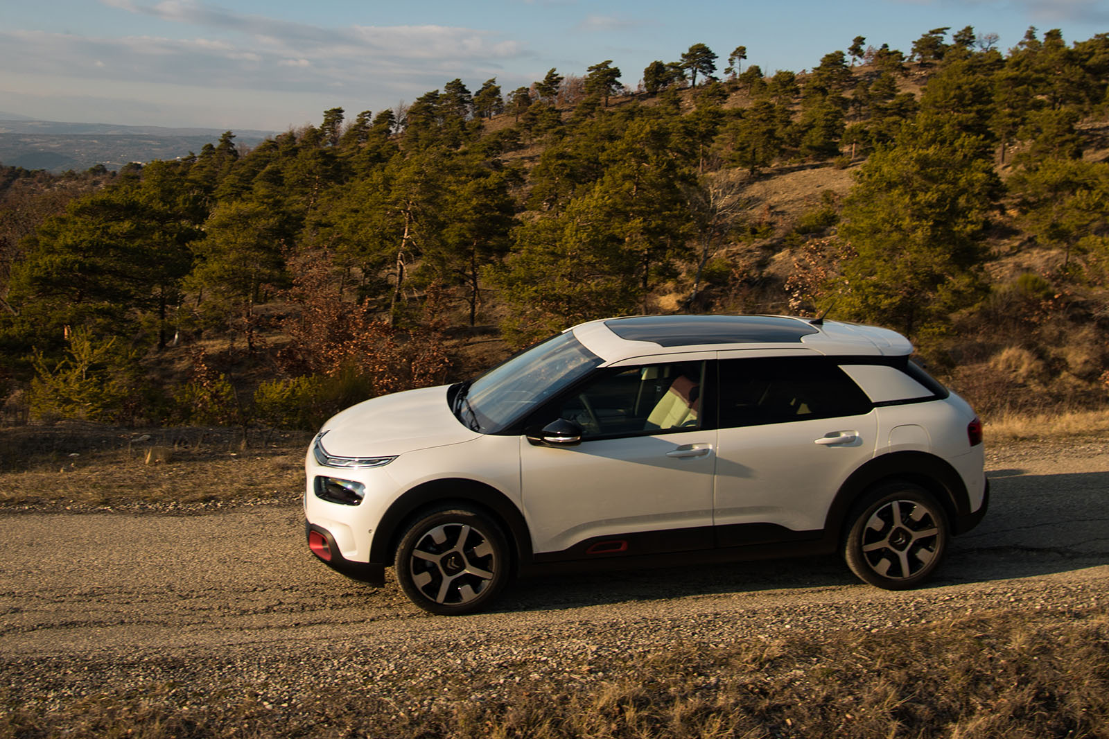 Used Citroen C4 Cactus 2018-2020 review | Autocar