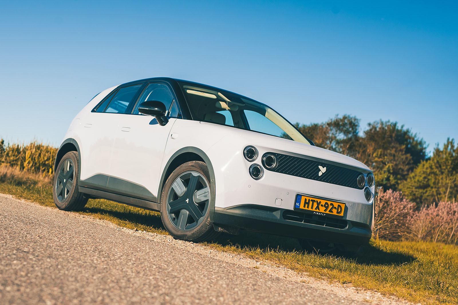 Firefly review 2025 021