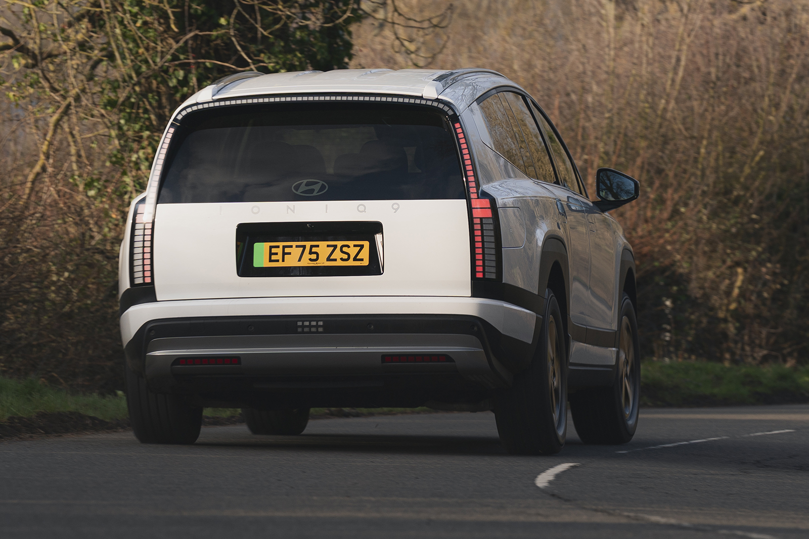 Hyundai Ioniq 9 2026 002