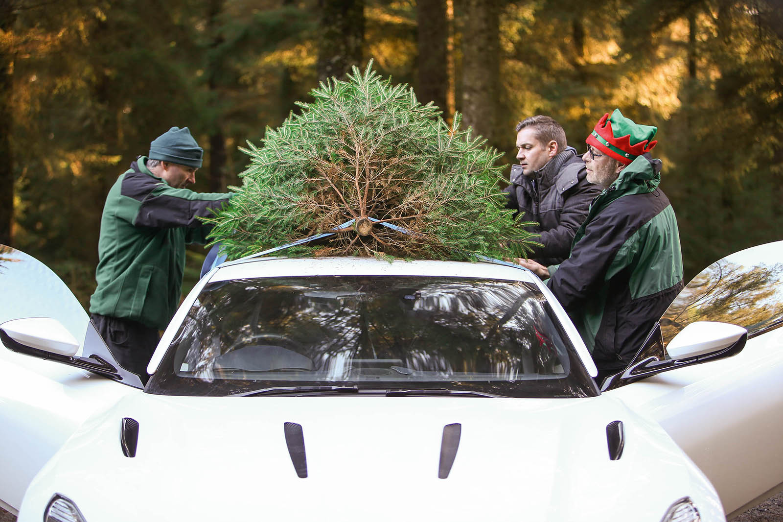 Aston xmas tree 70