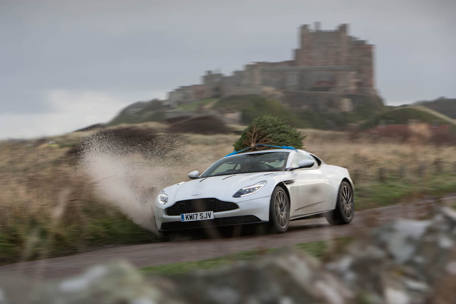 Aston xmas tree 89