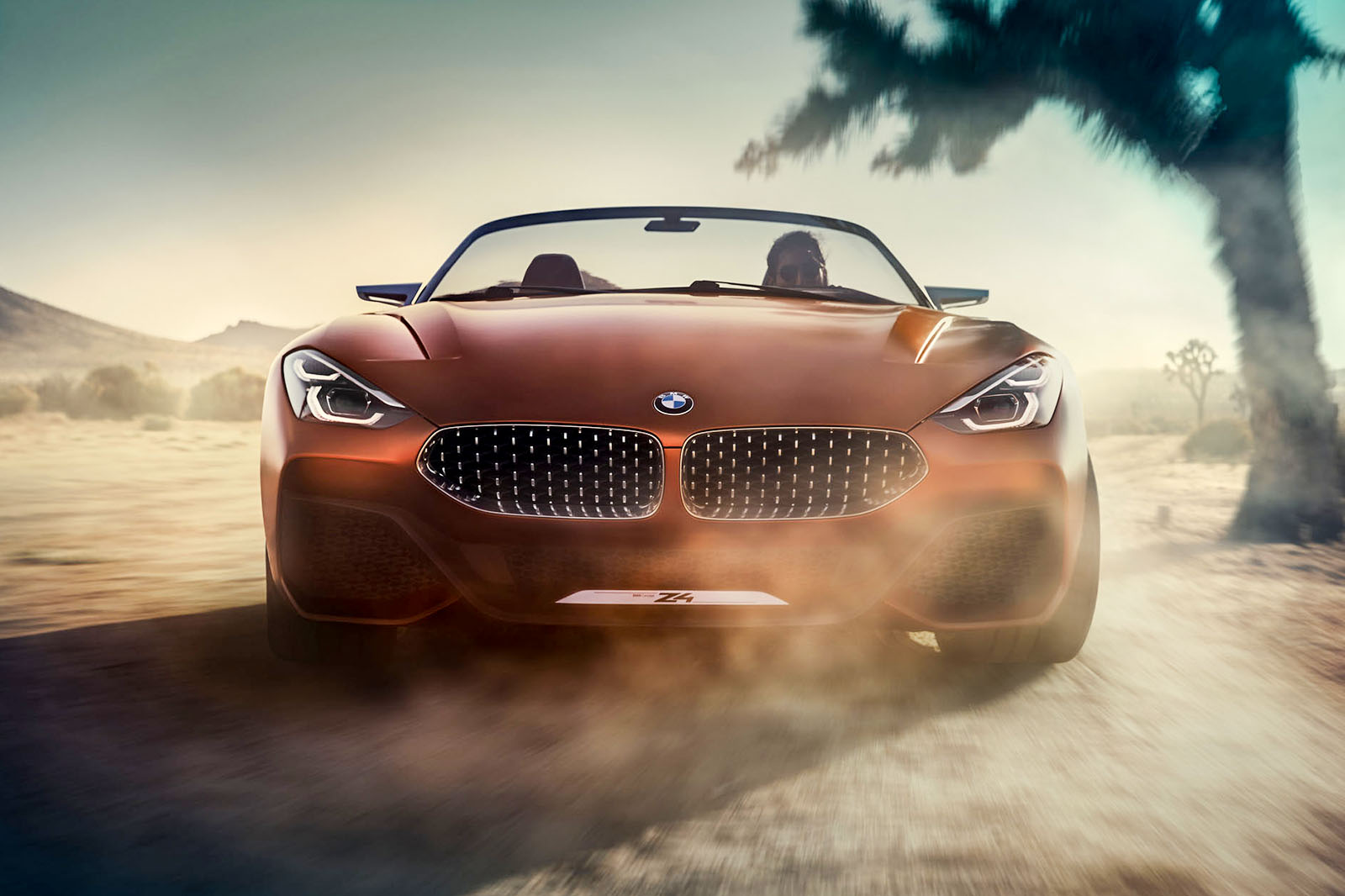 bmw-z4-2017-0085 taciki.ru