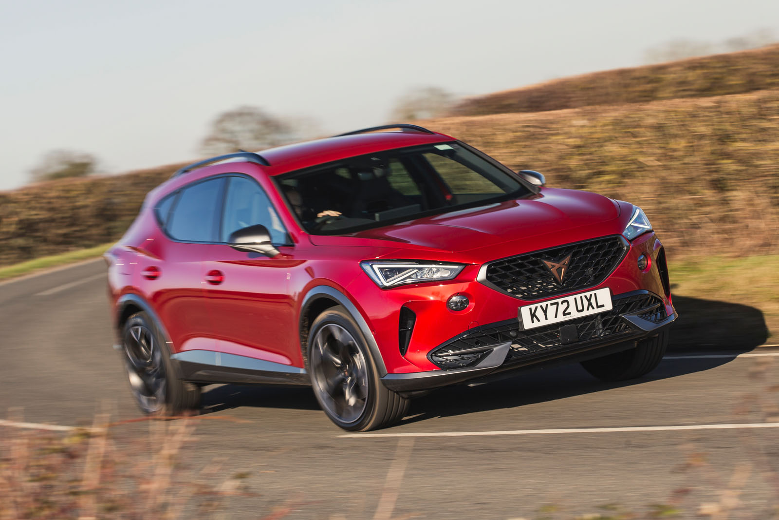 Cupra bans bright colours: 