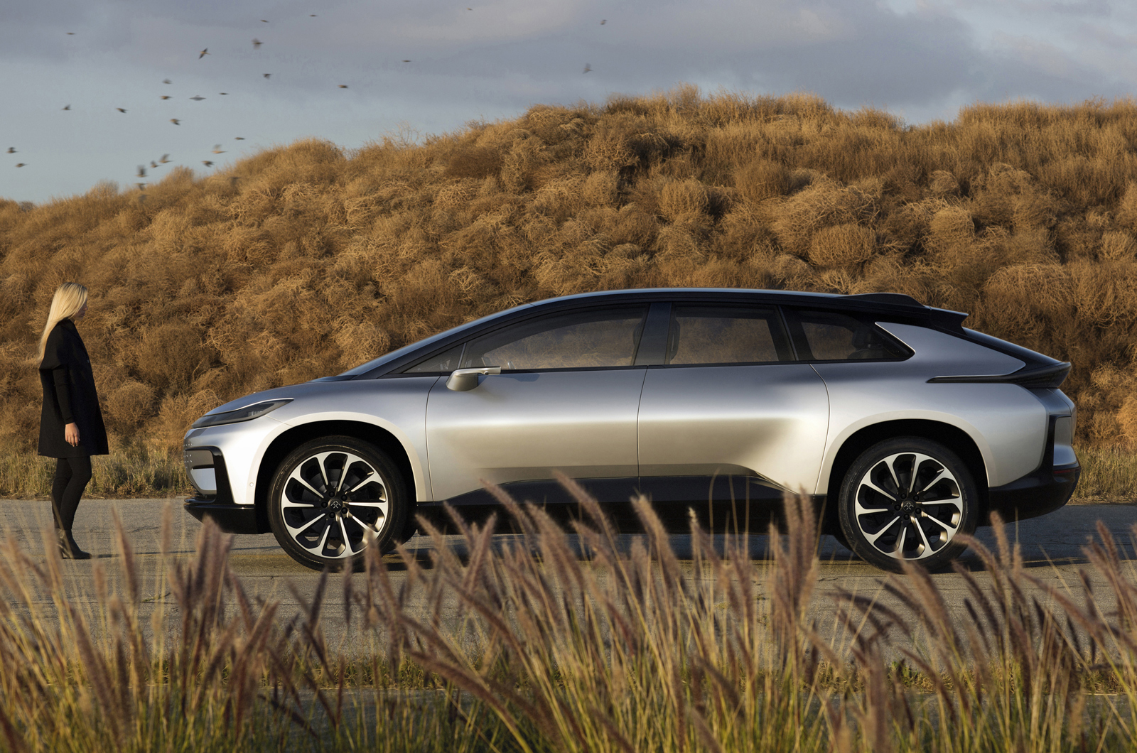 Ff 91 exterior 1 5a0097f5 860d 404e ba2f fd5cc318765d