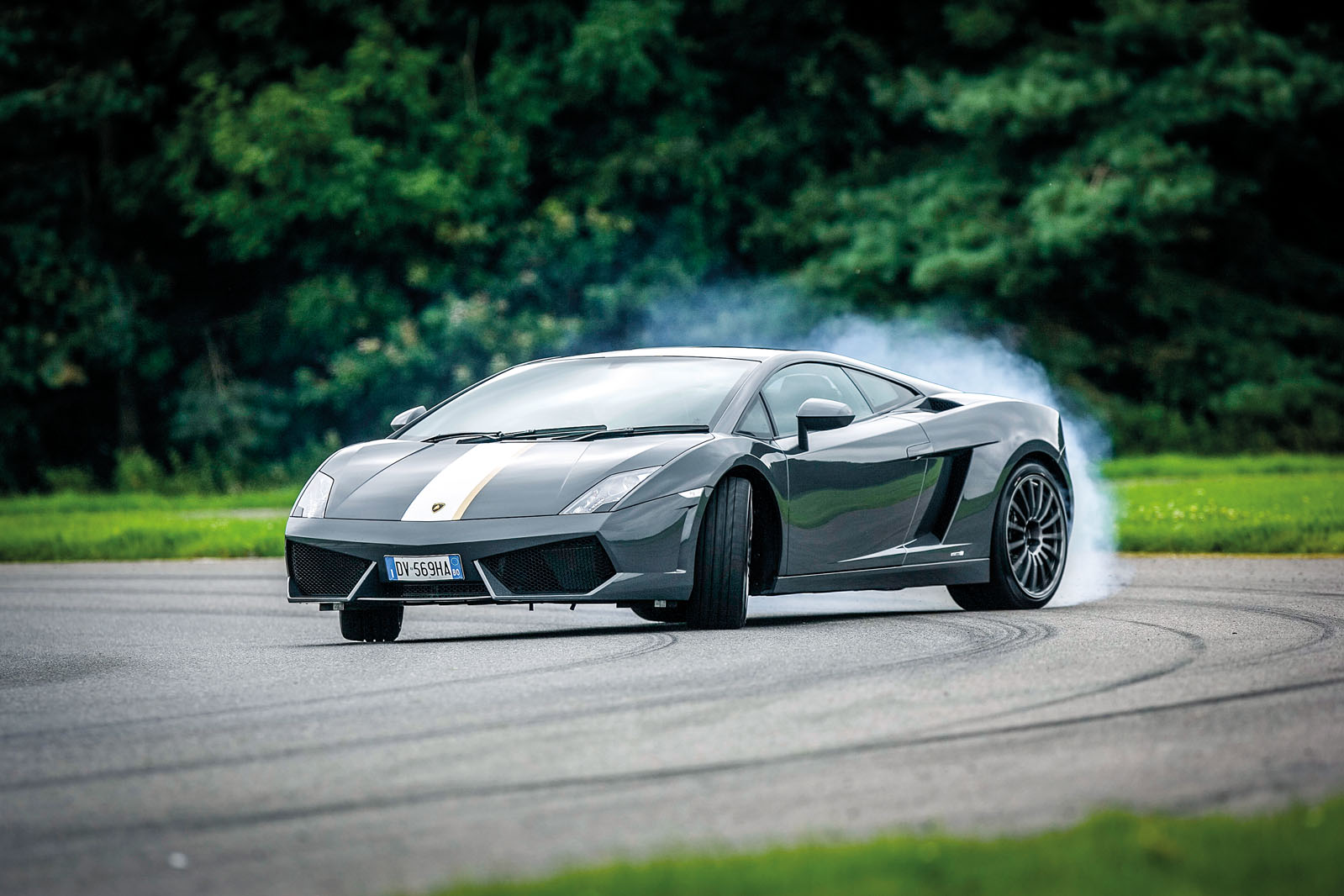 Gallardo 0629