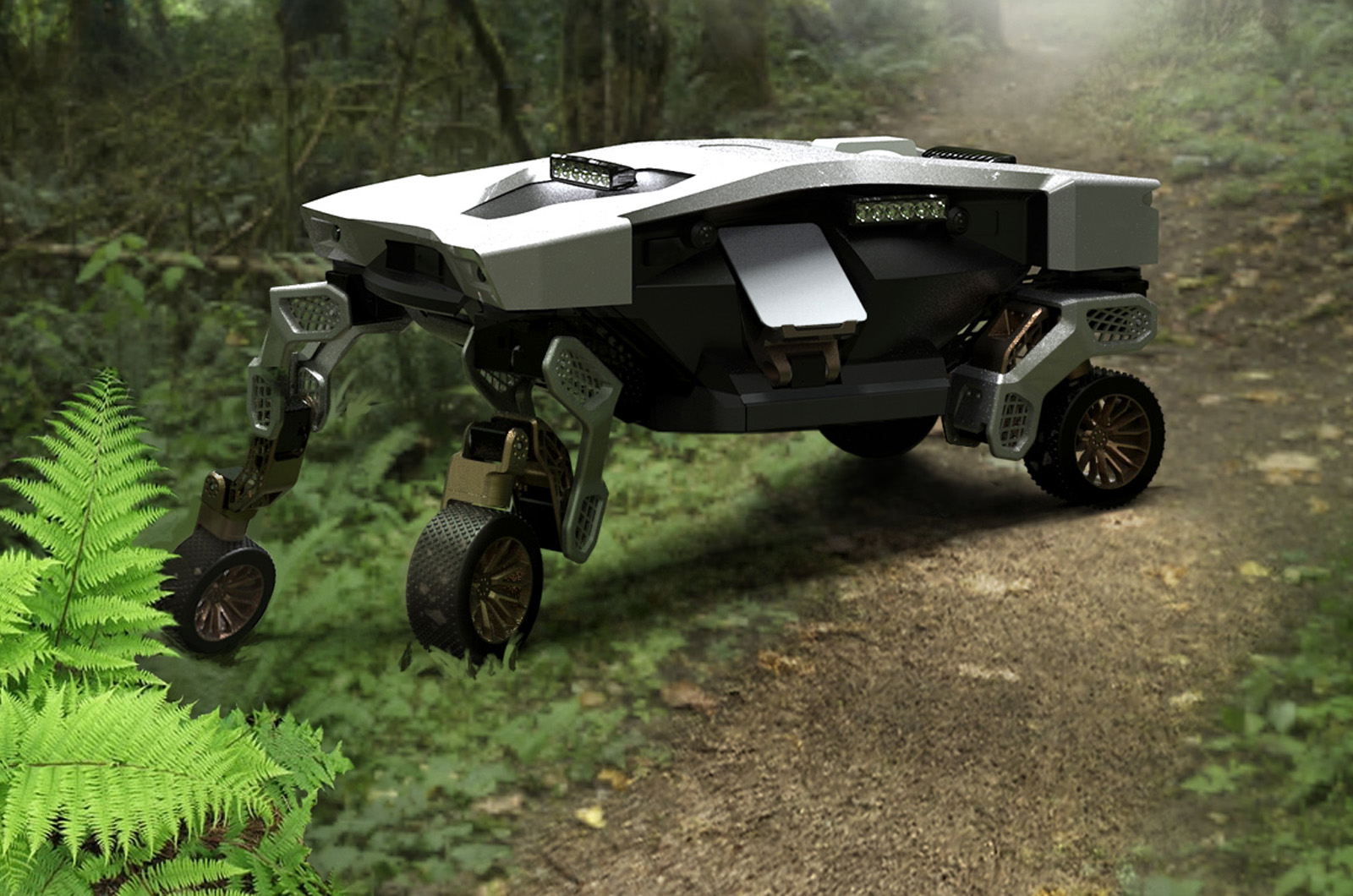 Autonomous All Terrain Vehicles