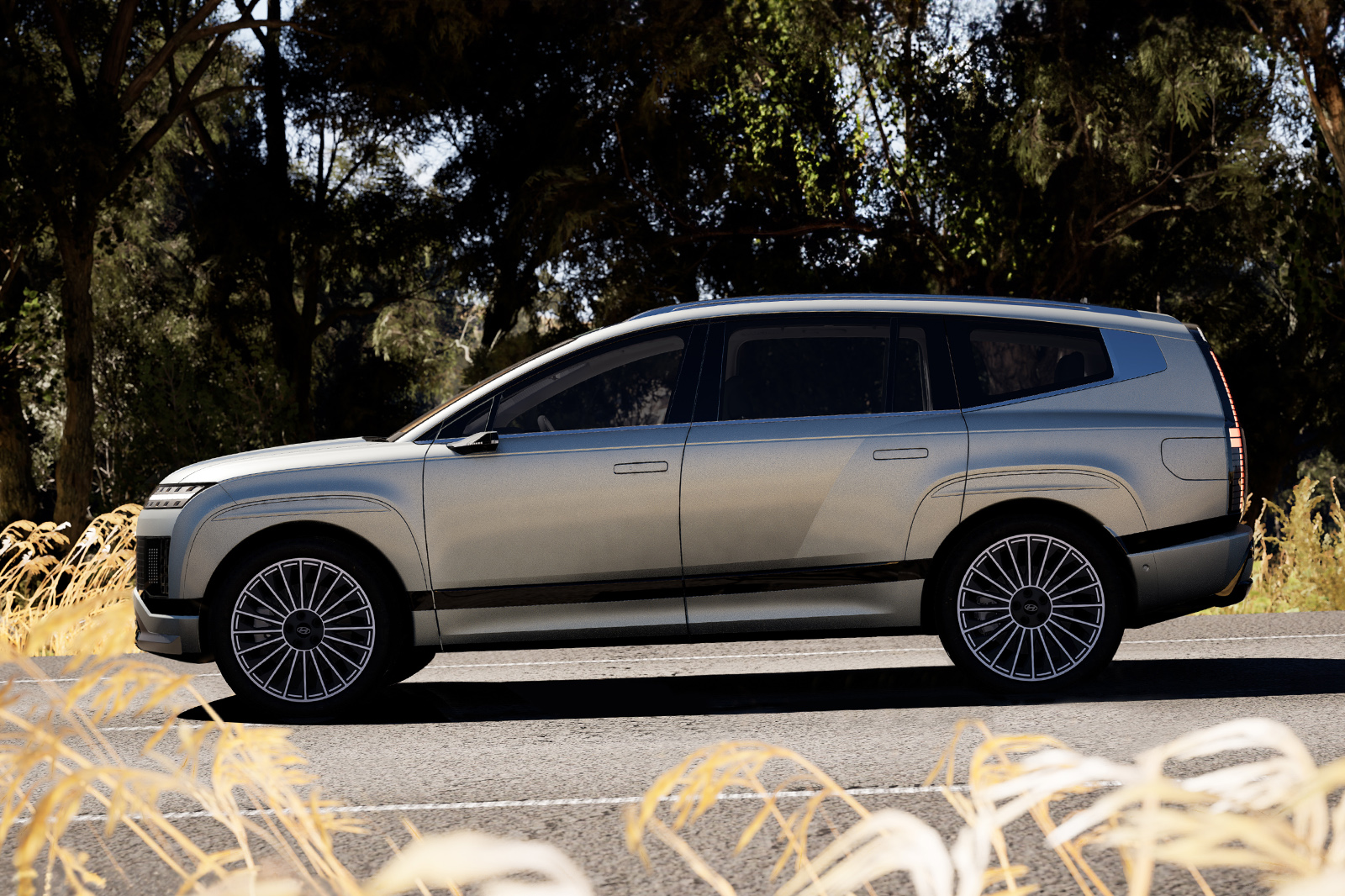 ioniq 9 2 static