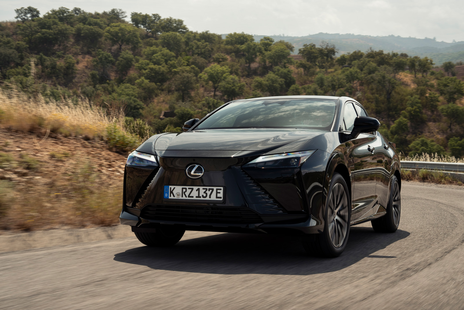 Lexus RZ nose