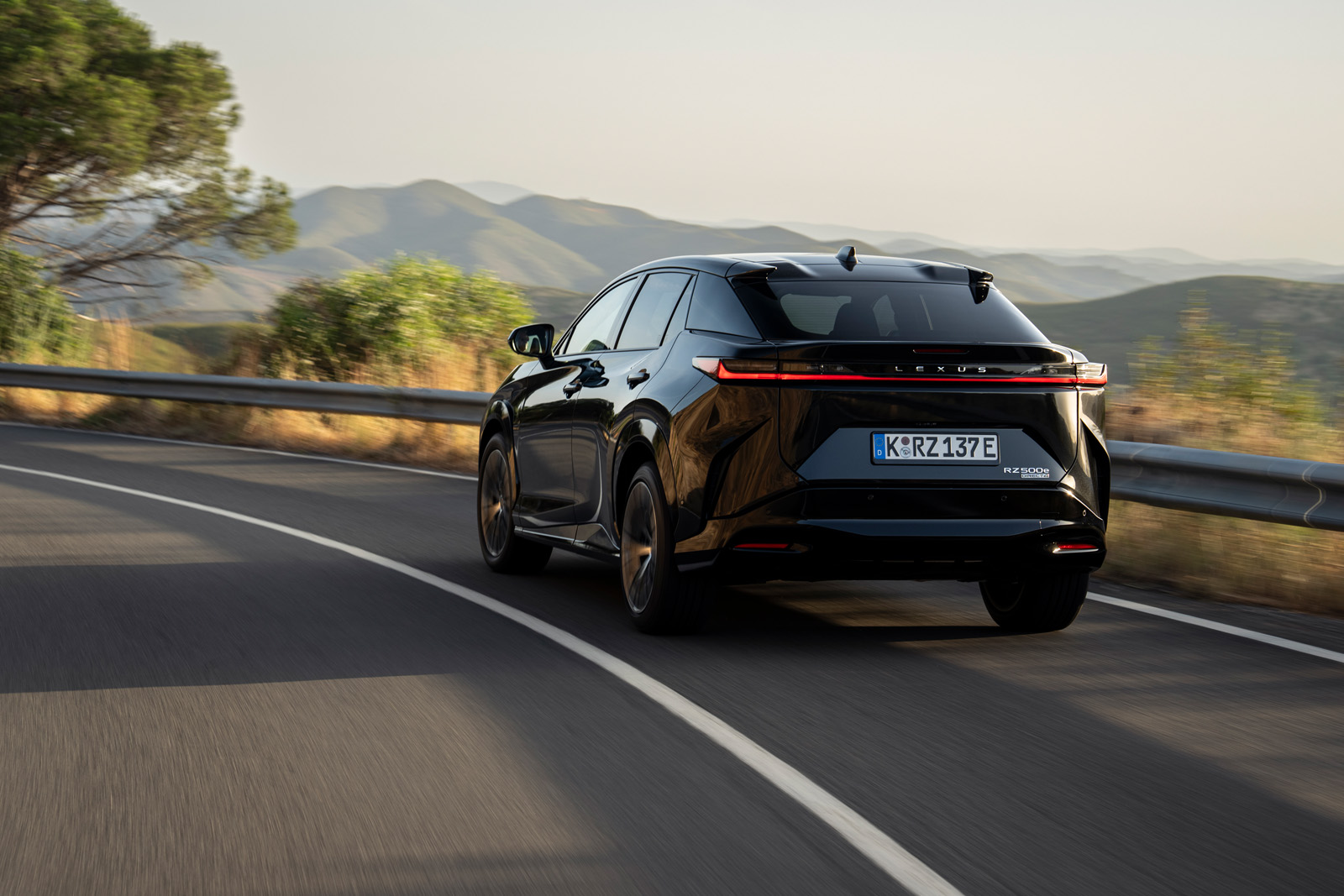 Lexus RZ rear