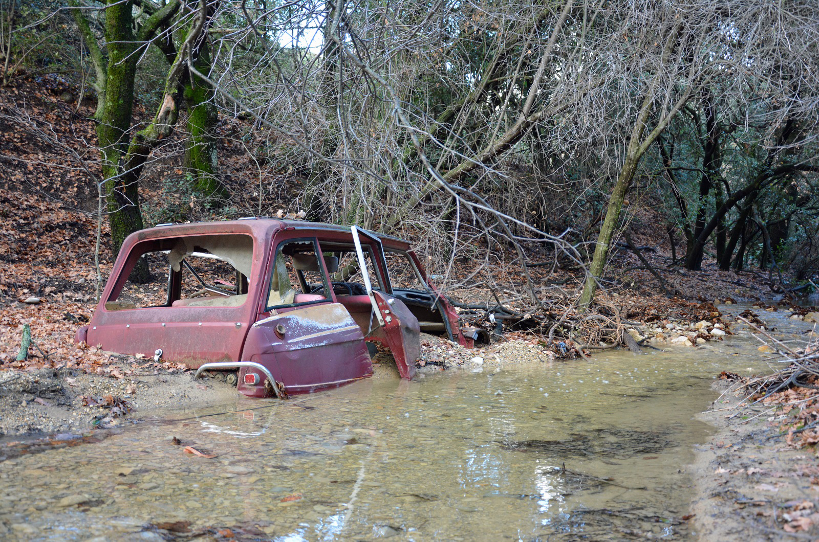 The bad habits that might kill your car