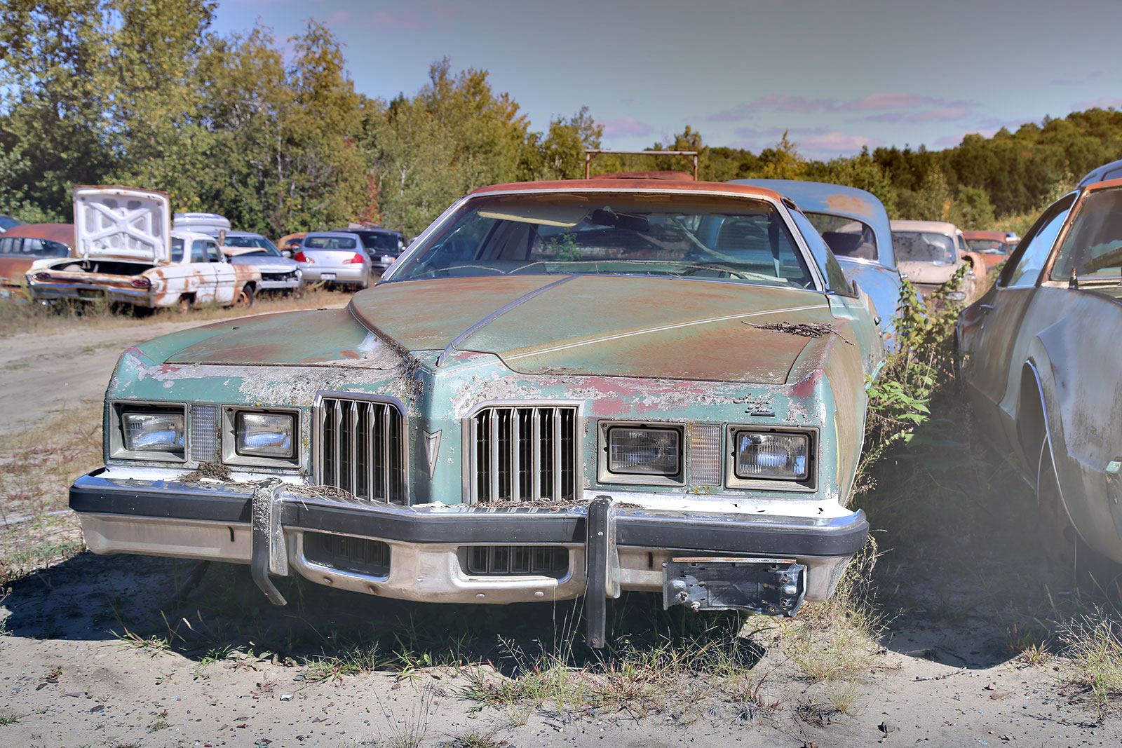 Junkyard Discoveries from Cooley's Statewide Scrap & Salvage in Eau Claire, Wisconsin | Autocar