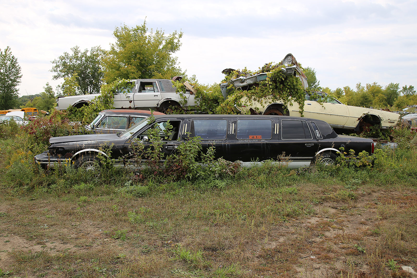 LINCOLN TOWNCAR LIMOUSINE