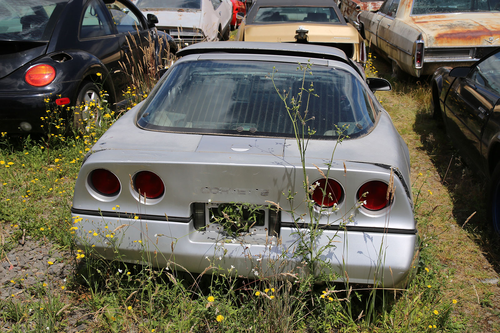 CHEVROLET CORVETTE - 1984