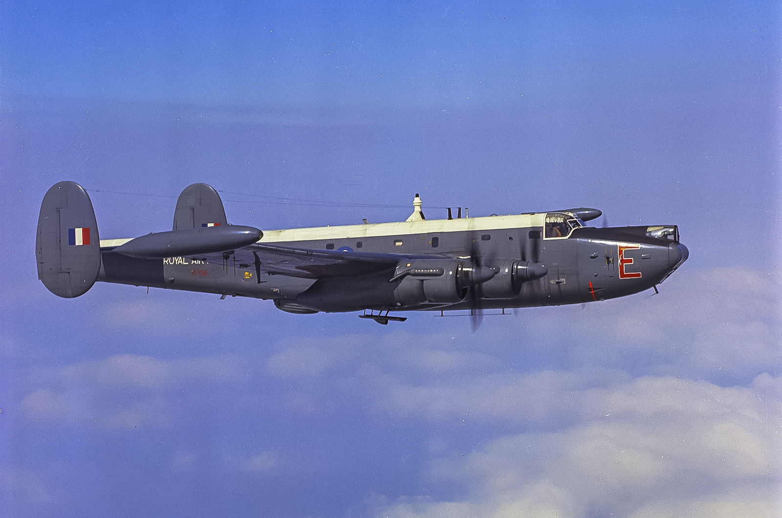  Avro Shackleton (1949) 