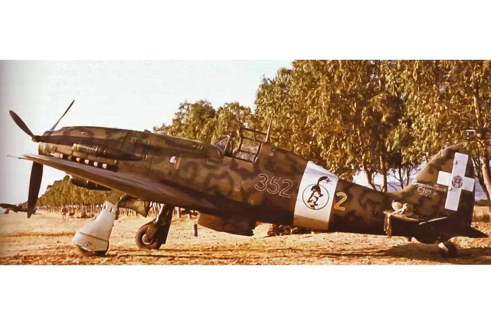 Macchi MC.205V Veltro ('Greyhound')