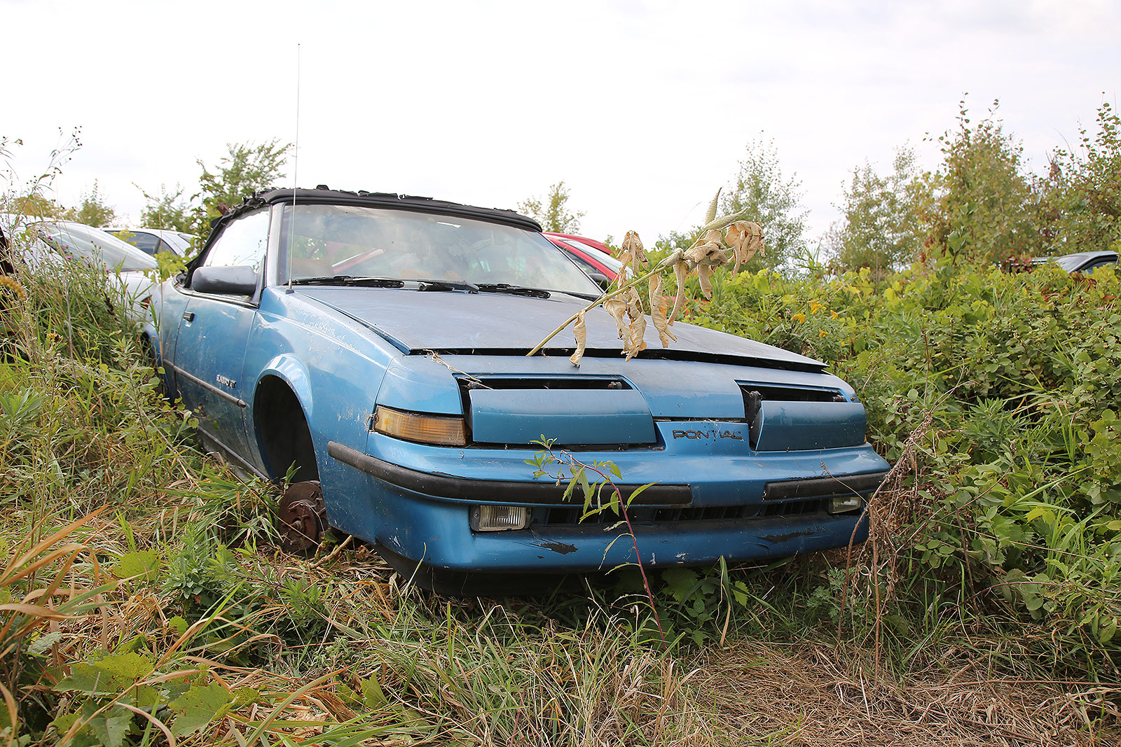 PONTIAC SUNBIRD - GT