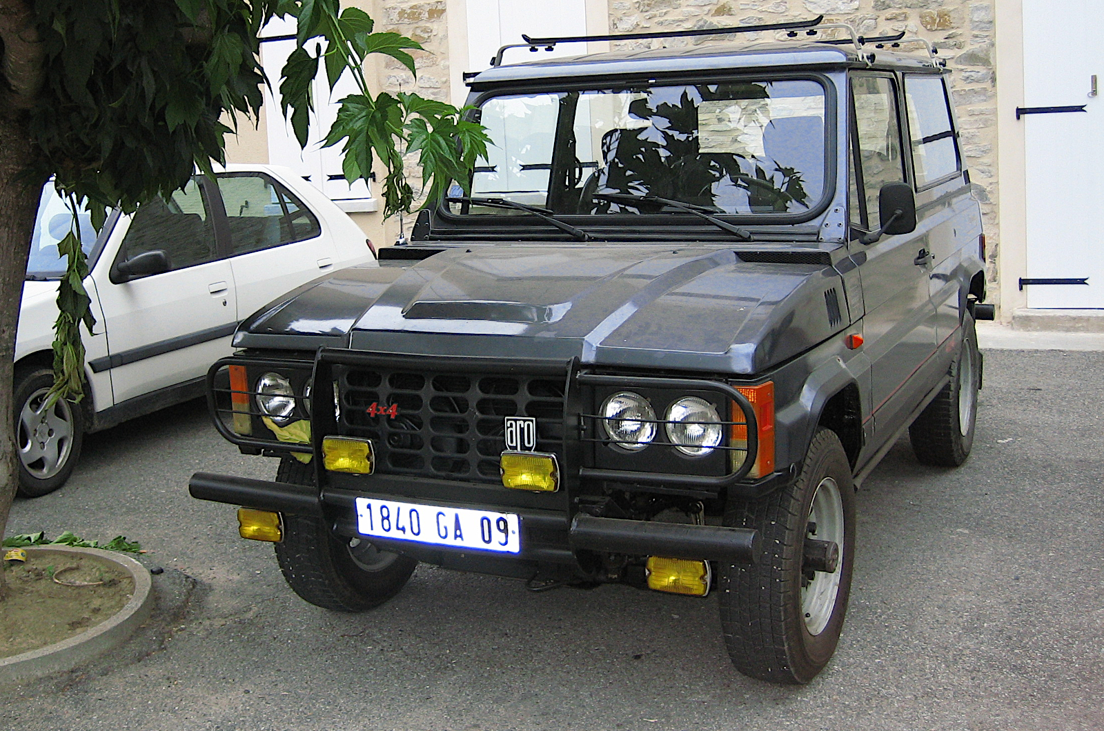  Duster