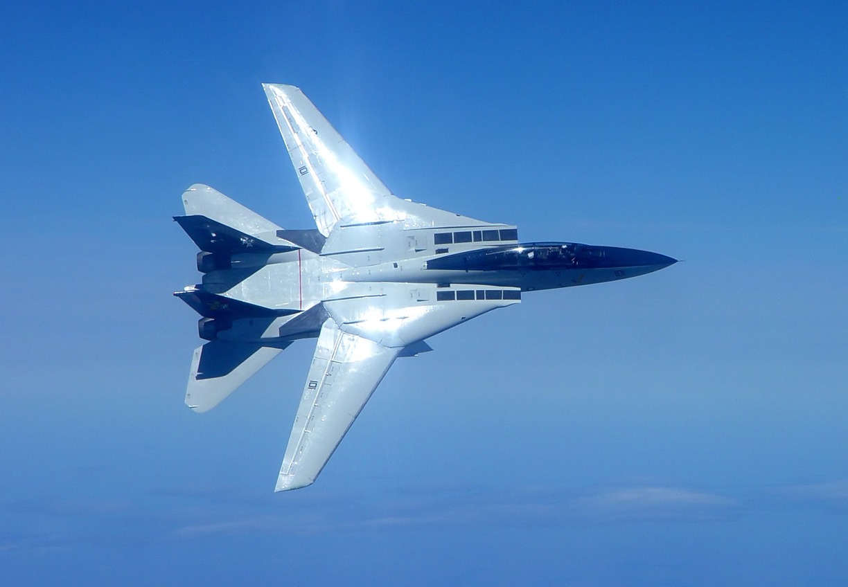  Grumman F-14 Tomcat (1970)