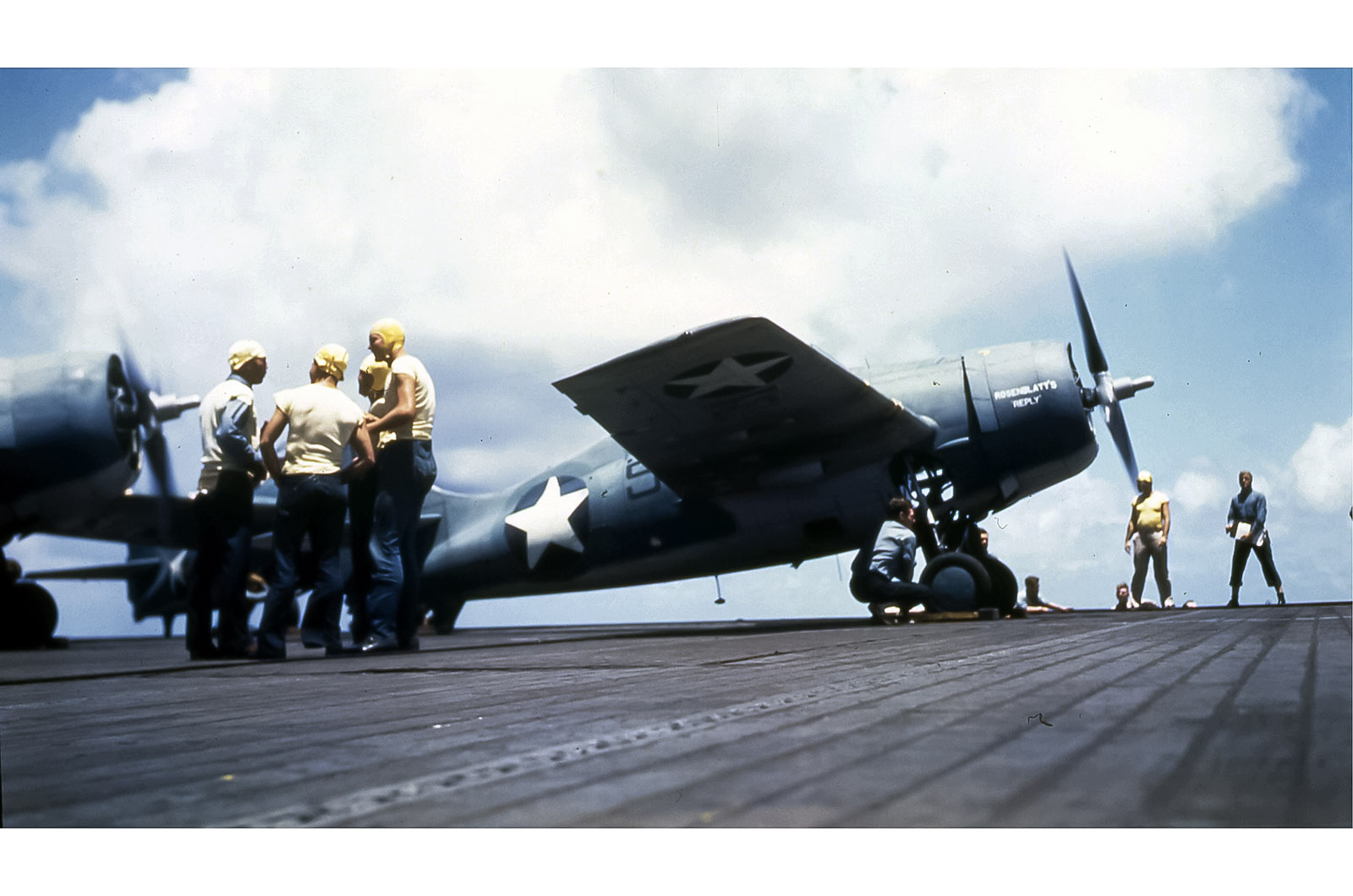  Grumman F4F/FM Wildcat