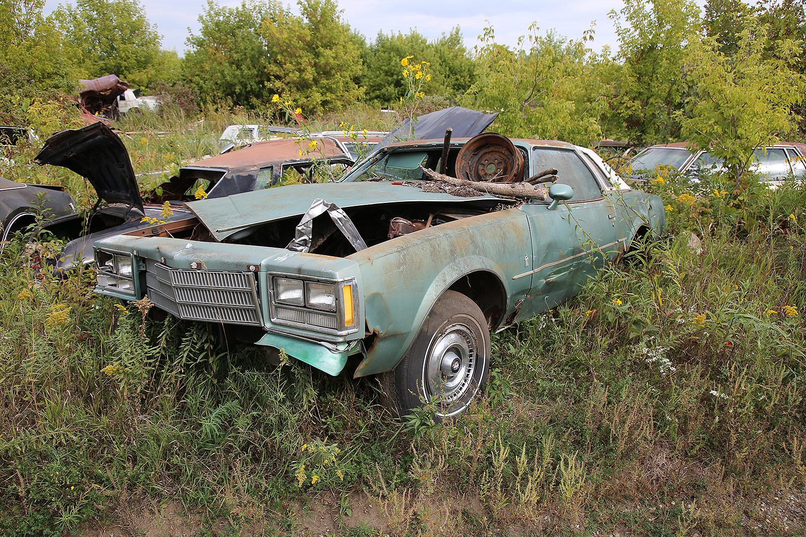 BUICK REGAL - 1977