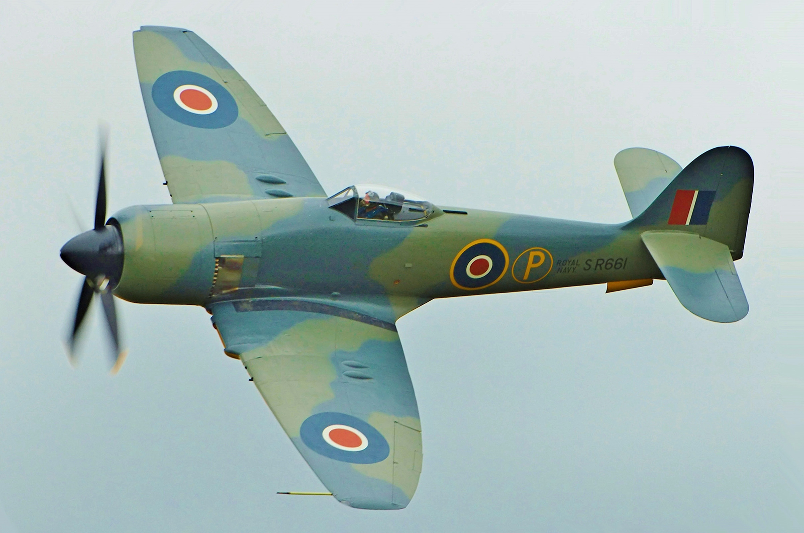  Hawker Sea Fury 