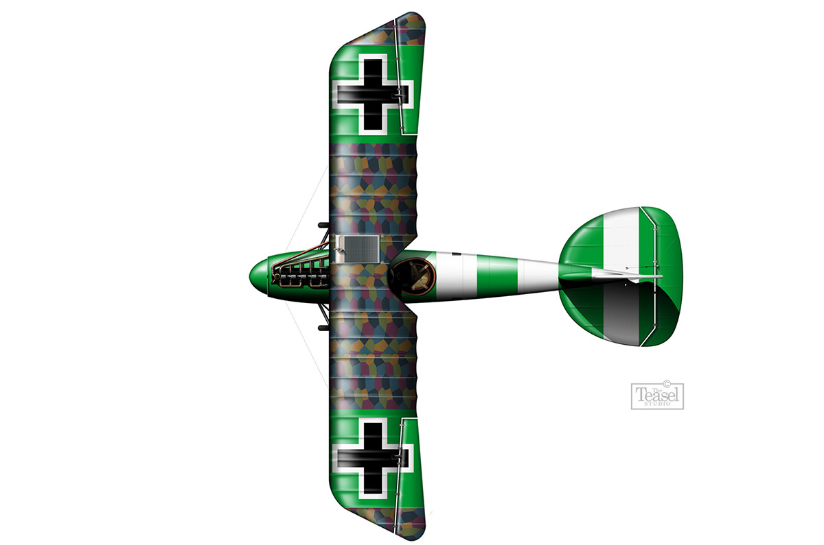 Losanga (“Lozenge”)