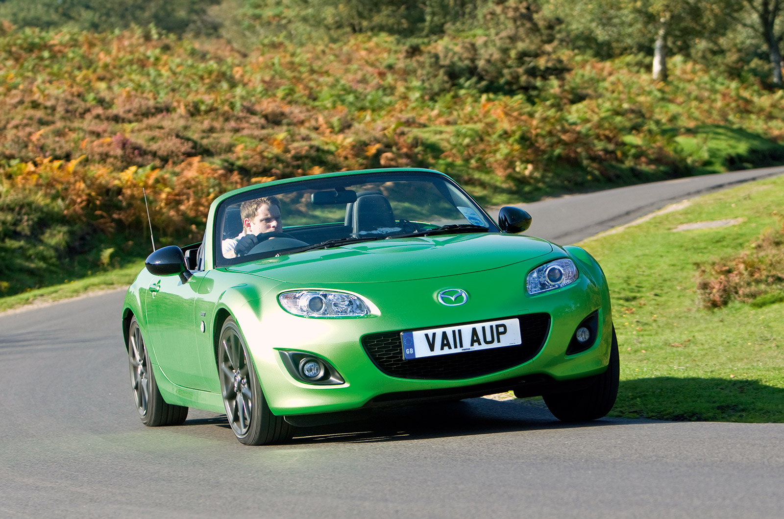 Used Cars Everyone Should Consider