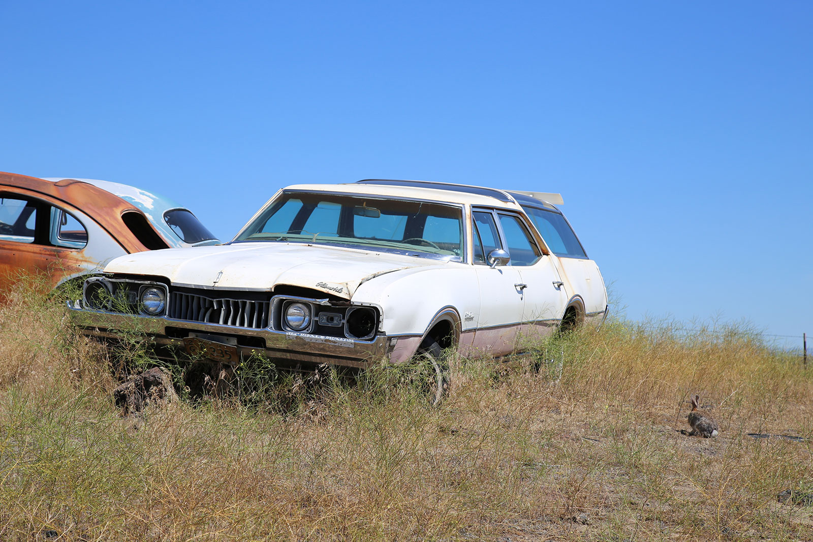 Oldsmobile Vista Cruiser 1968 