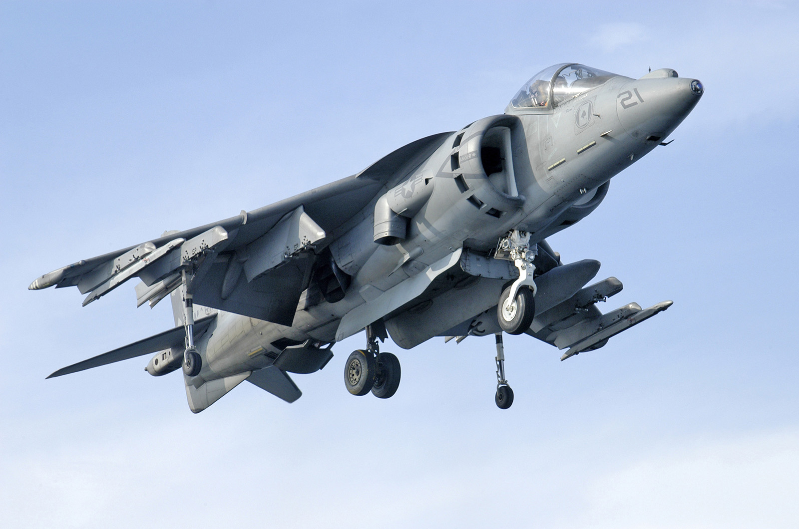  Harrier