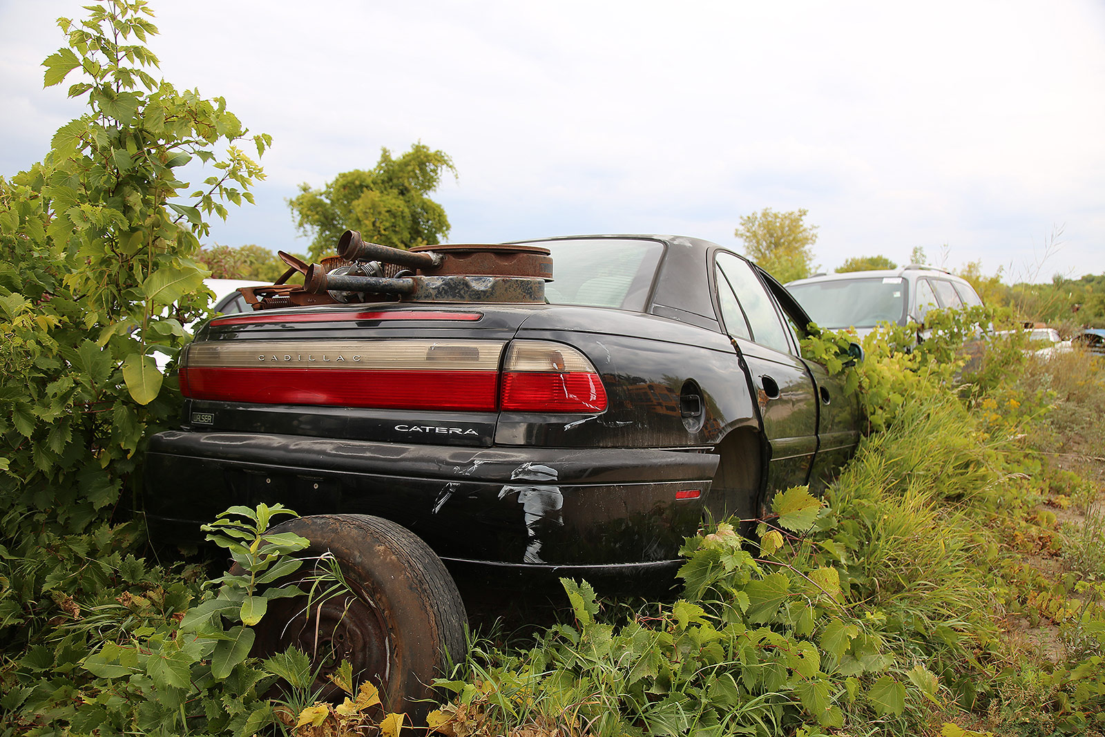 CADILLAC CATERA