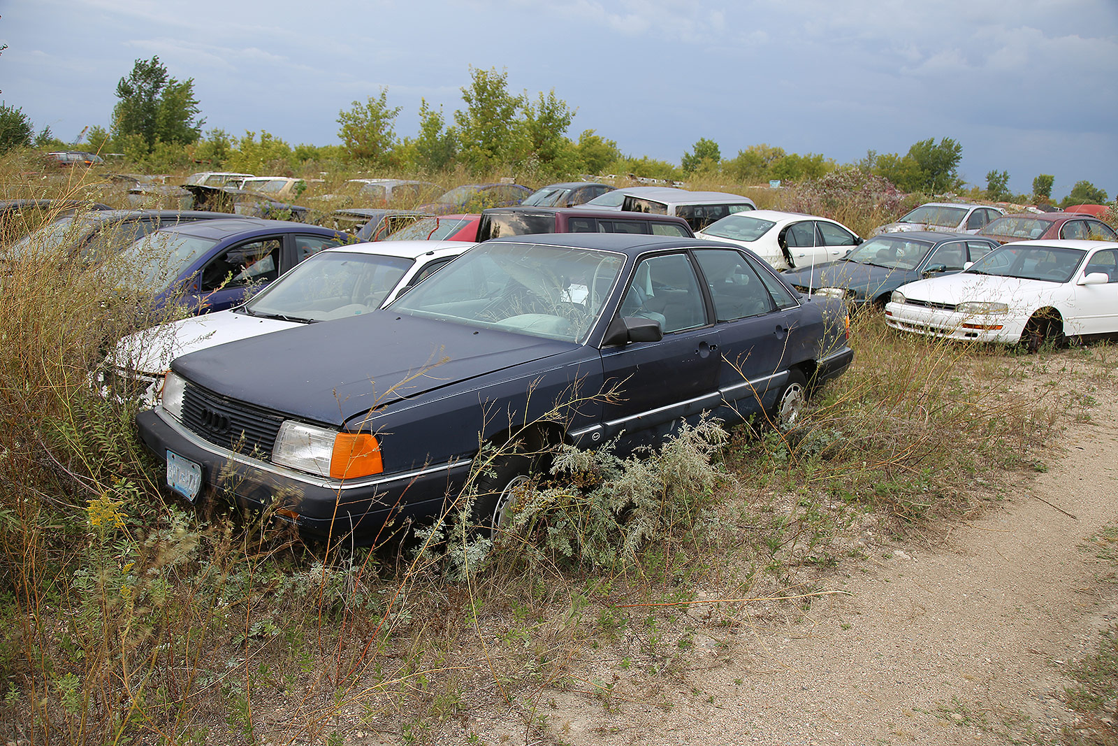 AUDI 5000