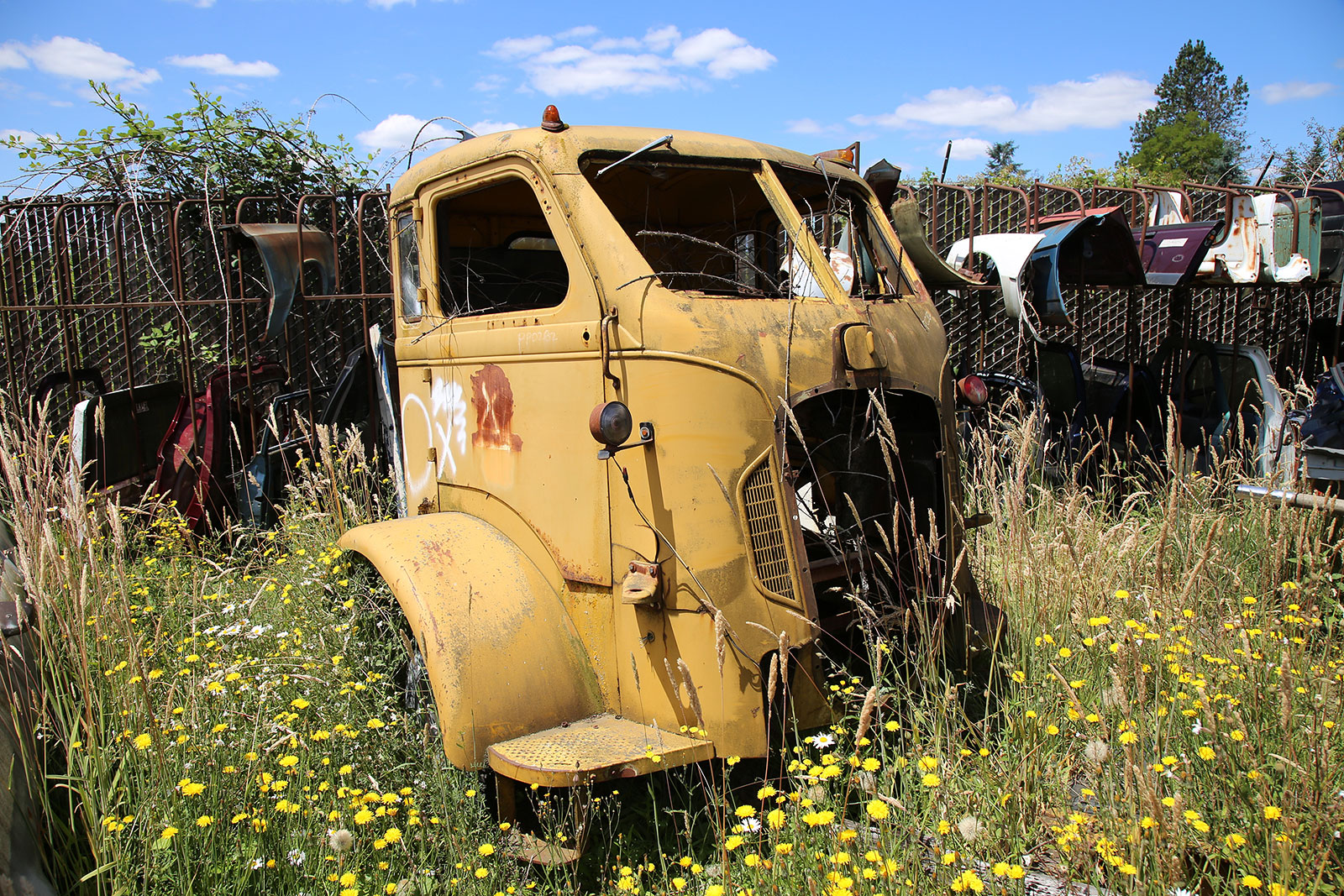 AUTOCAR U-SERIES - 1952