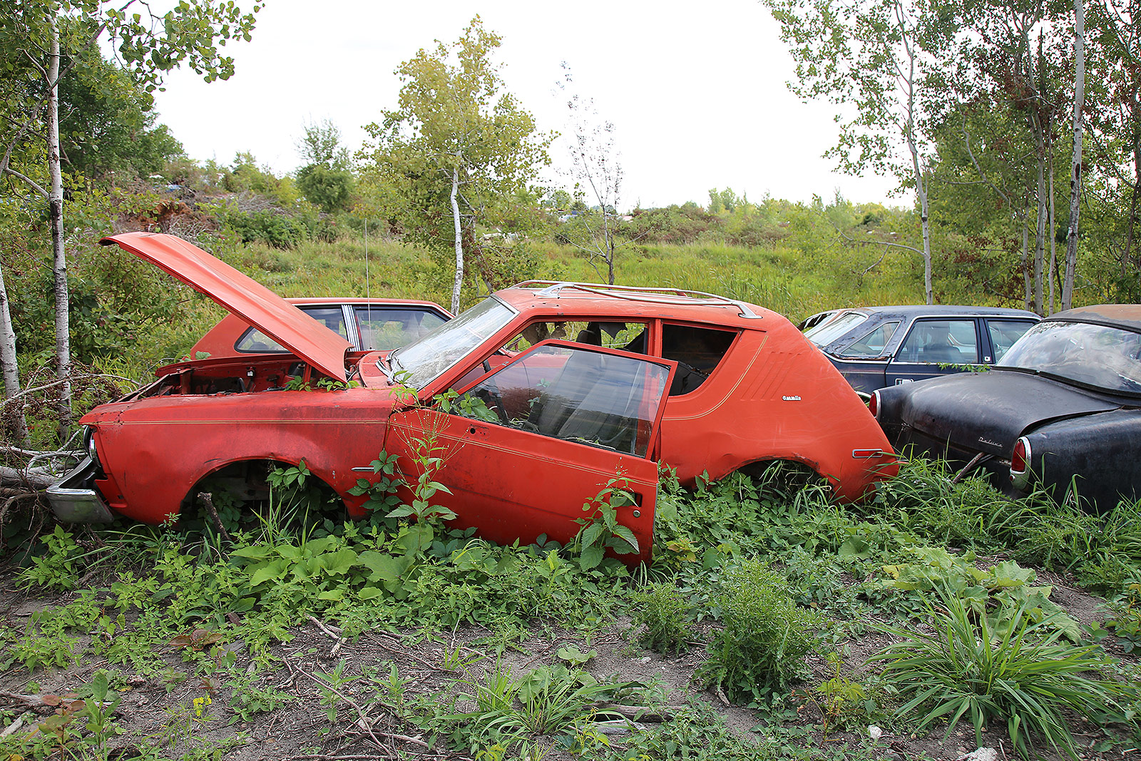 AMC GREMLIN