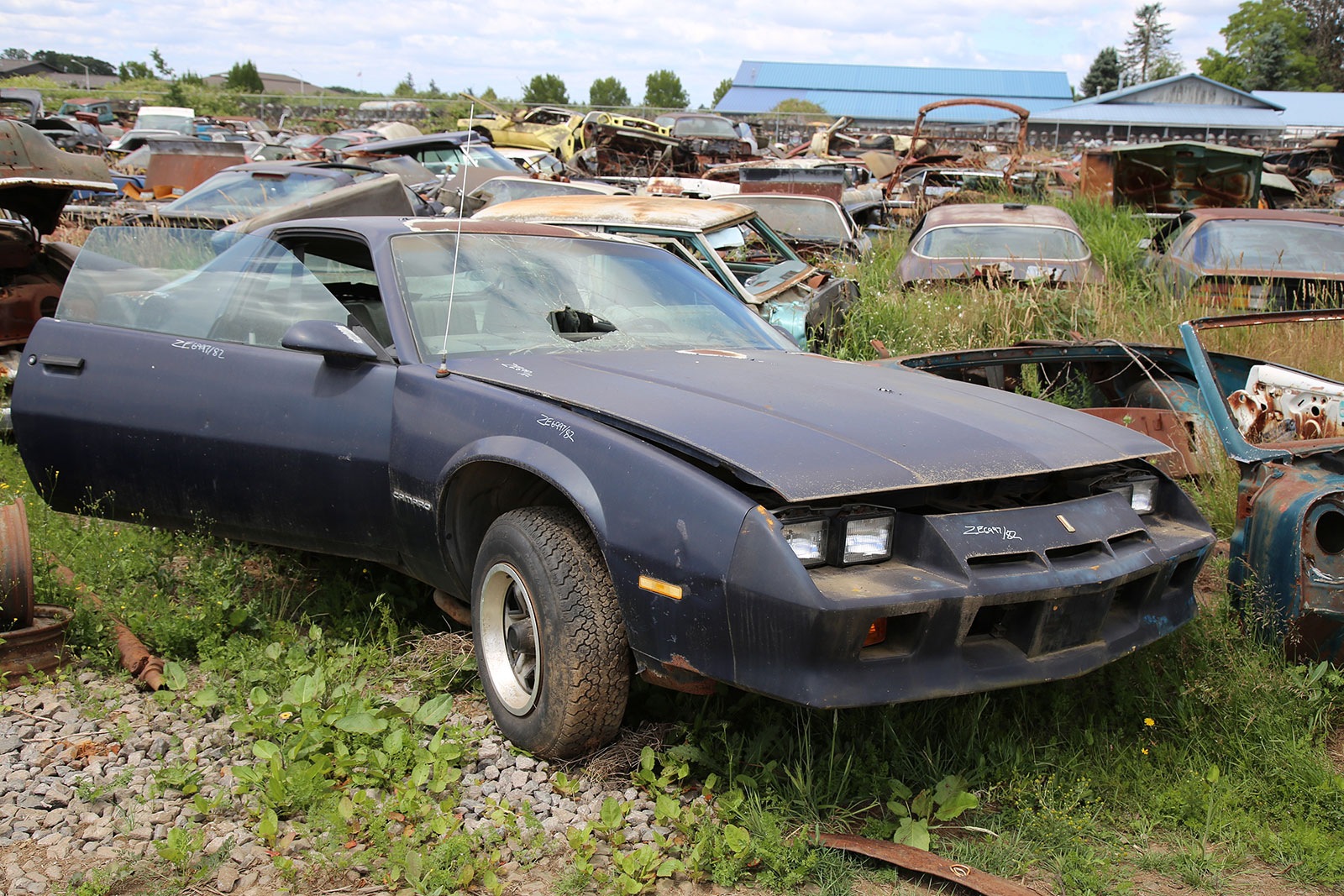 CHEVROLET CAMARO - 1983