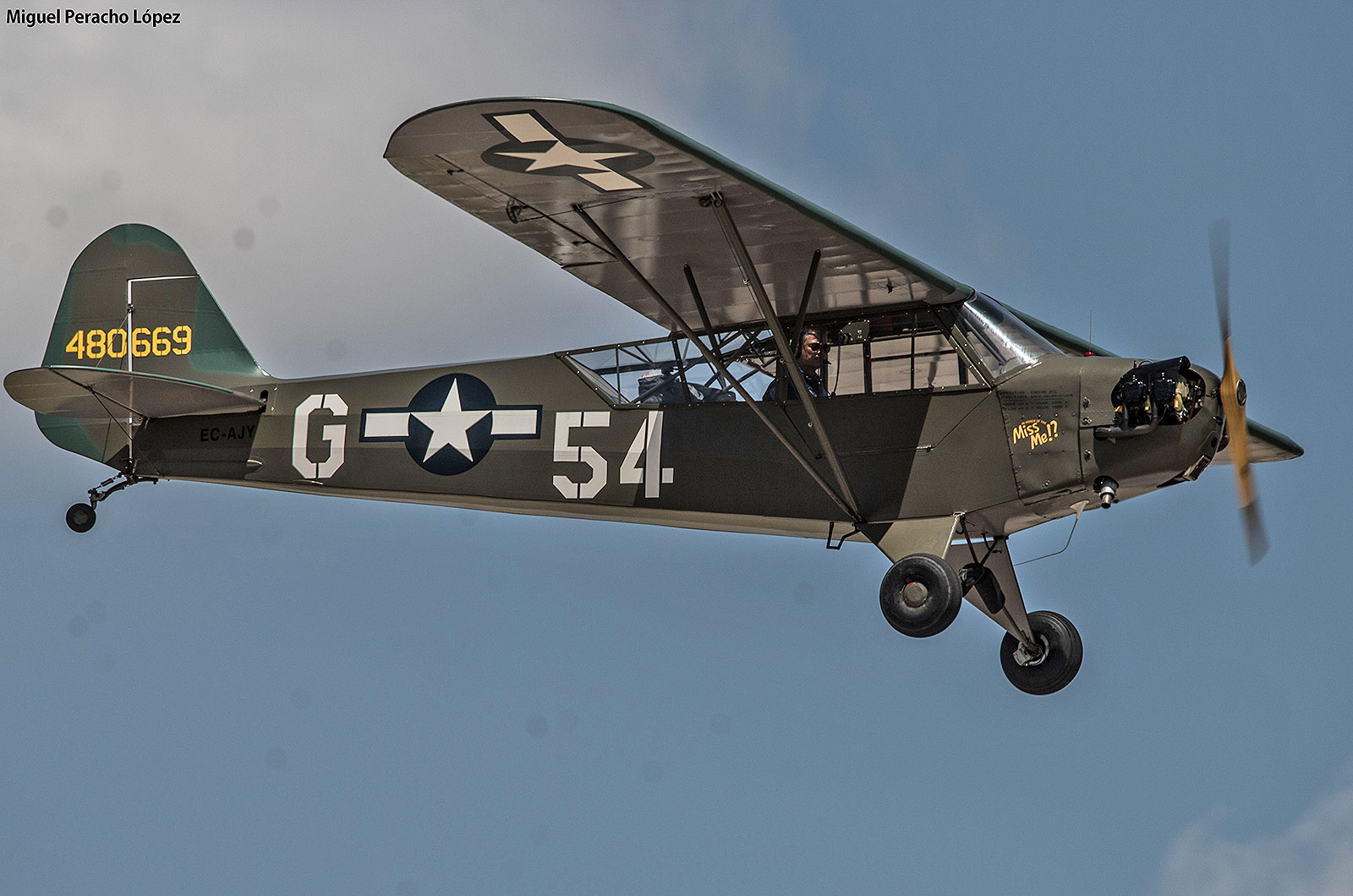 L-4 Grasshopper