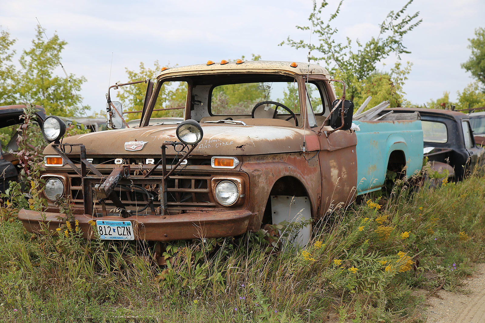 FORD F100
