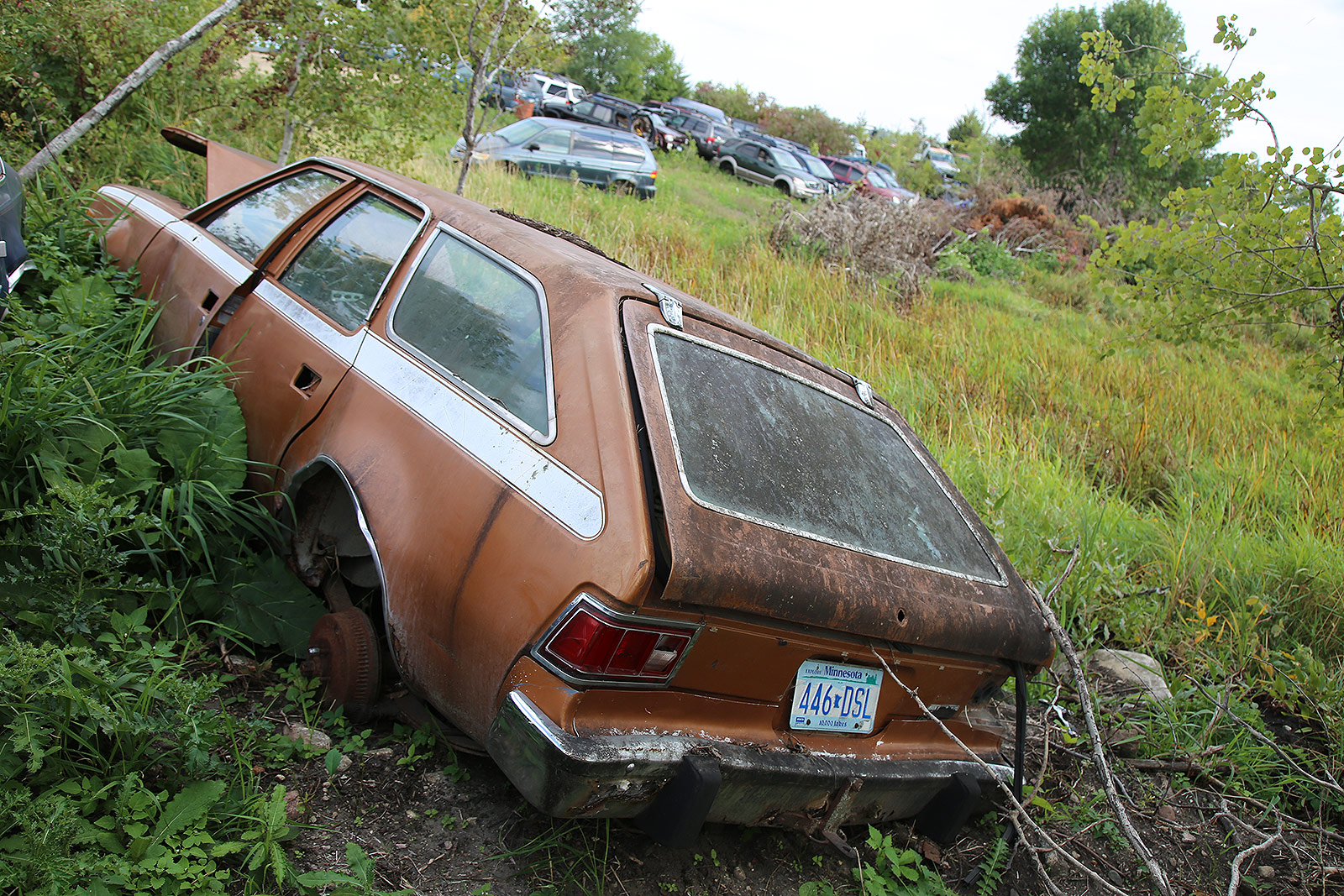 AMC HORNET