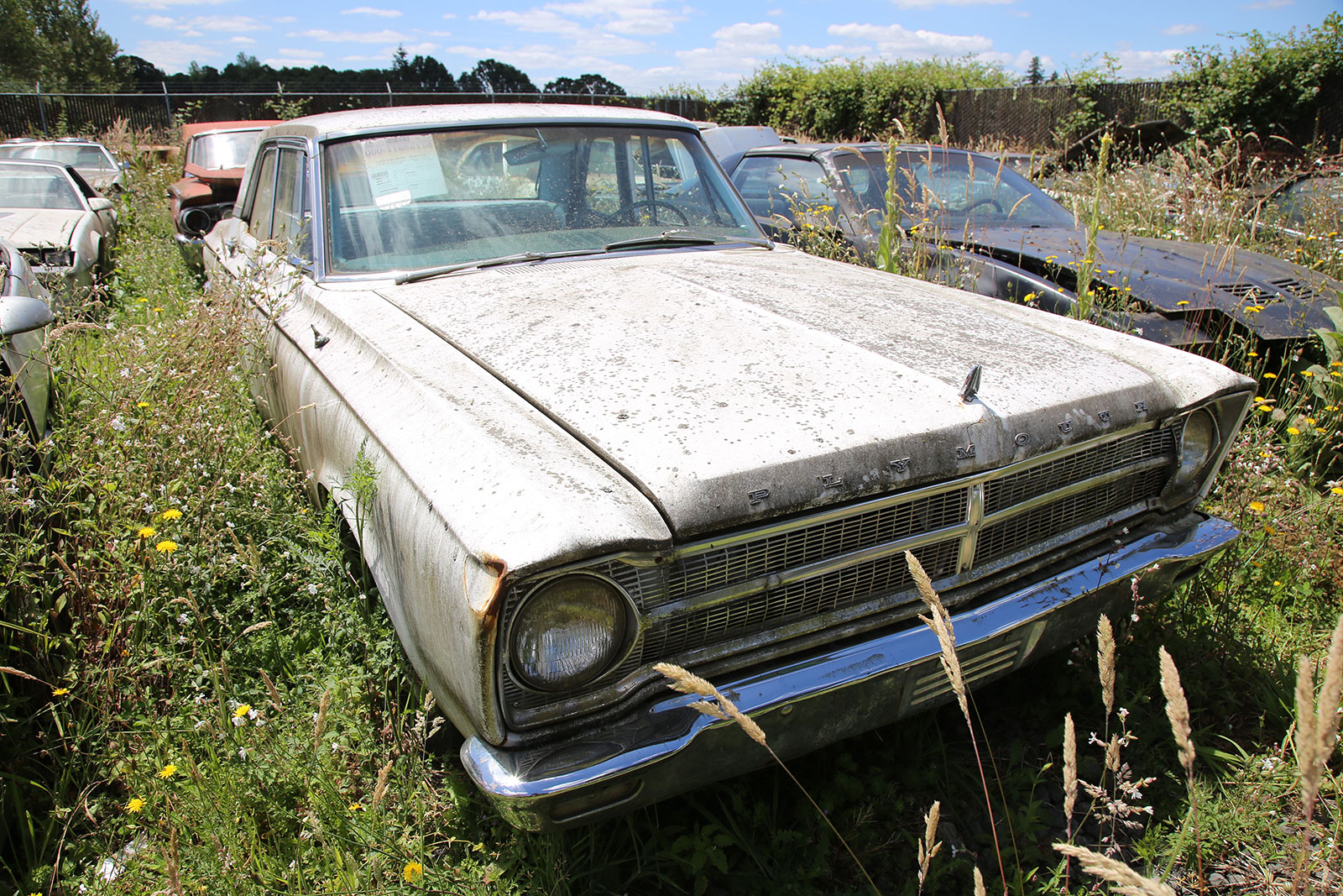 PLYMOUTH BELVEDERE - 1965