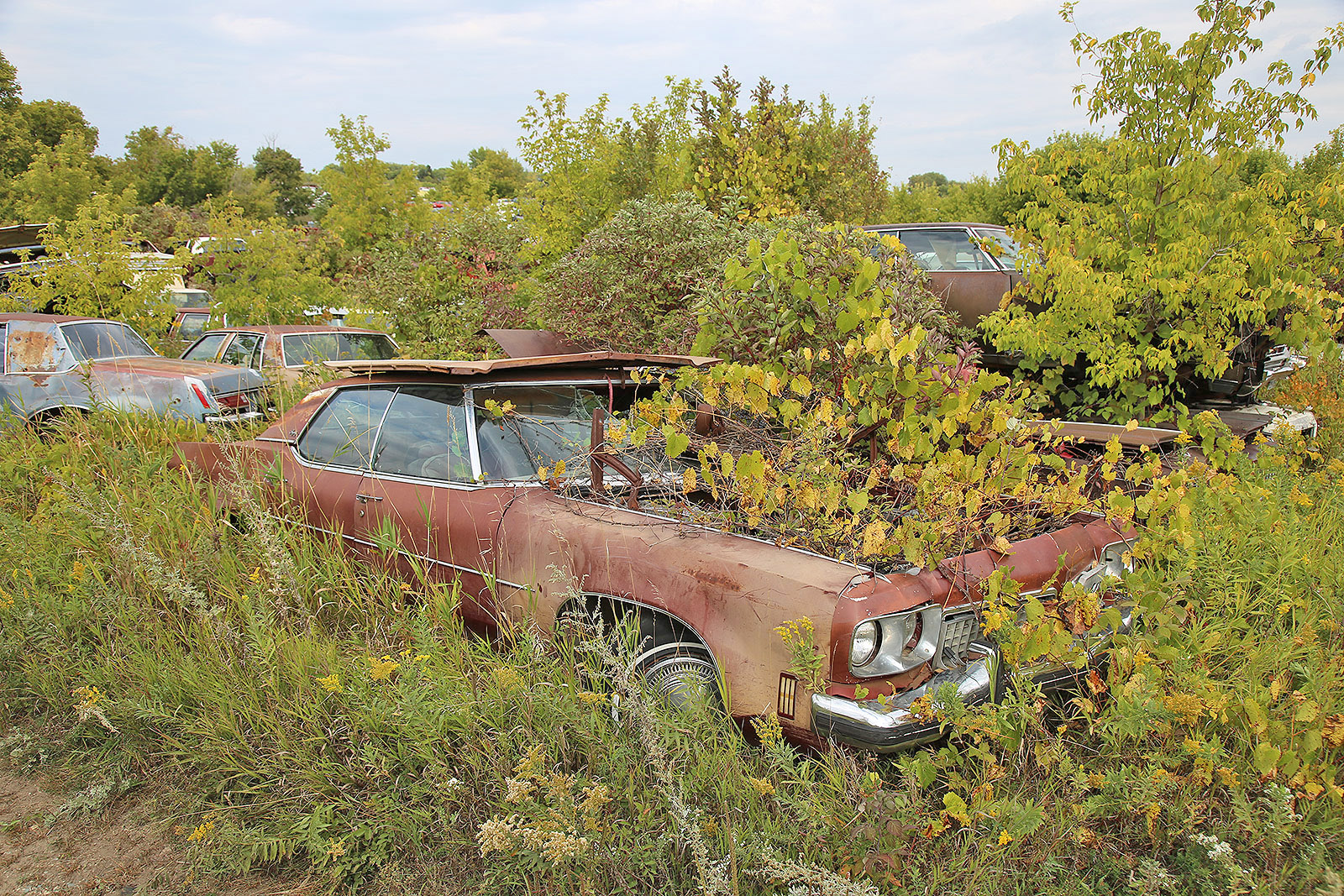 OLDSMOBILE 98 - 1973