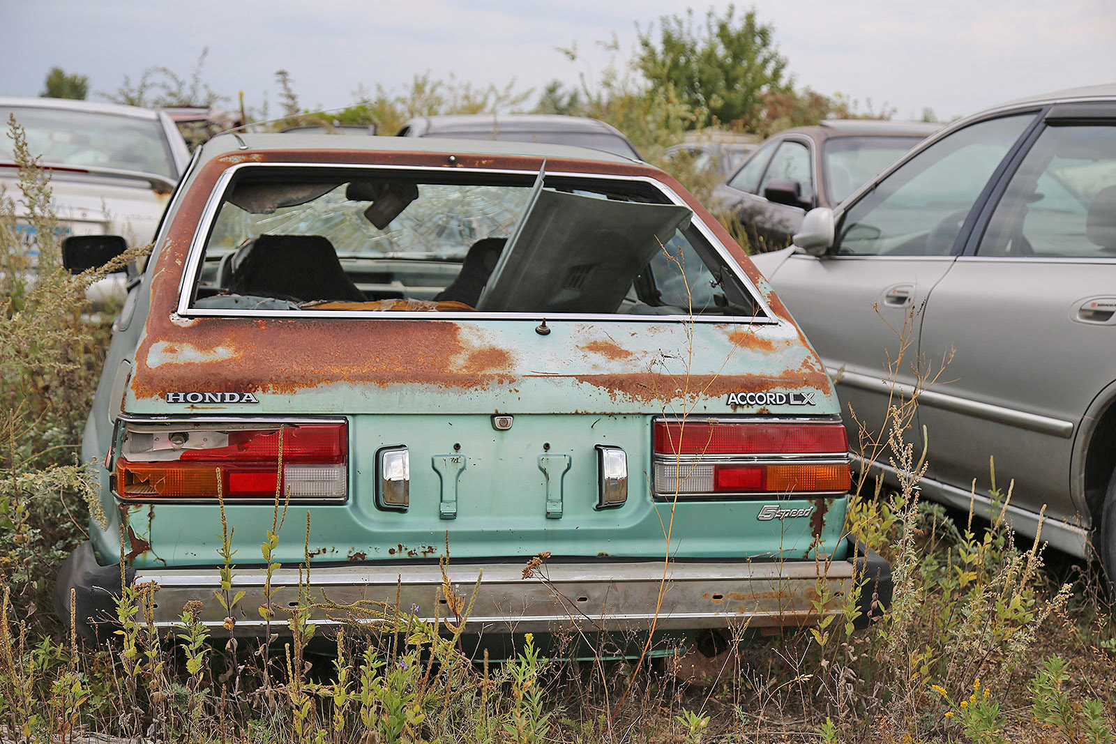 HONDA ACCORD