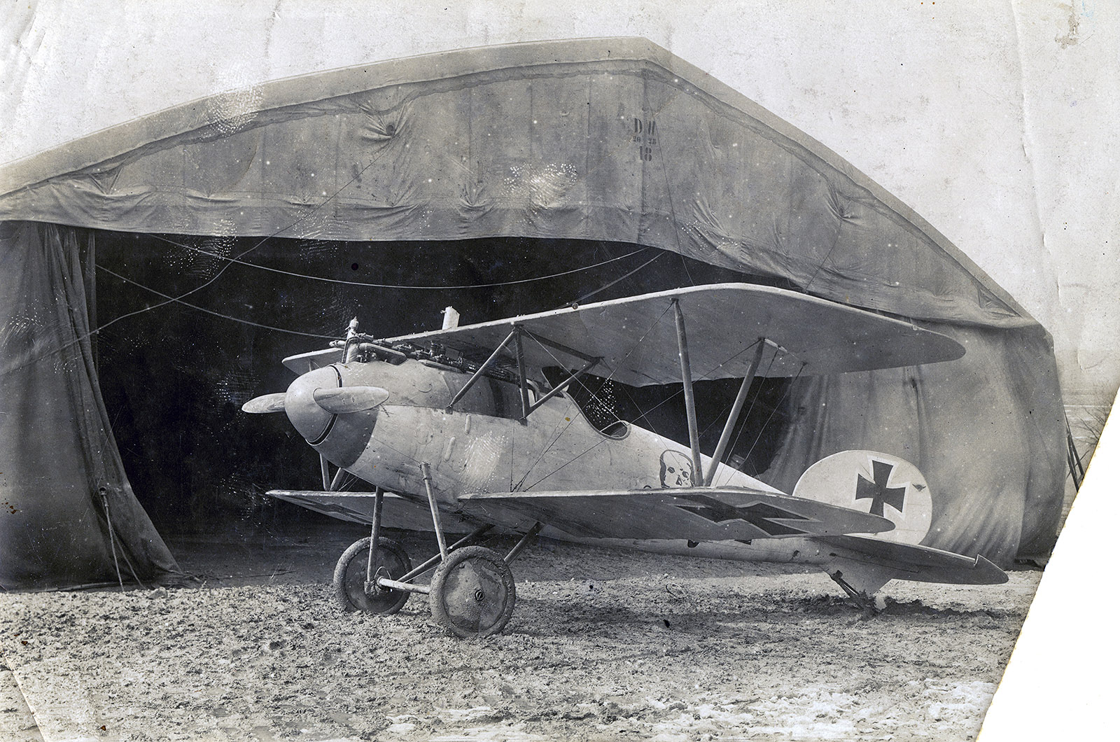  Albatros D.V