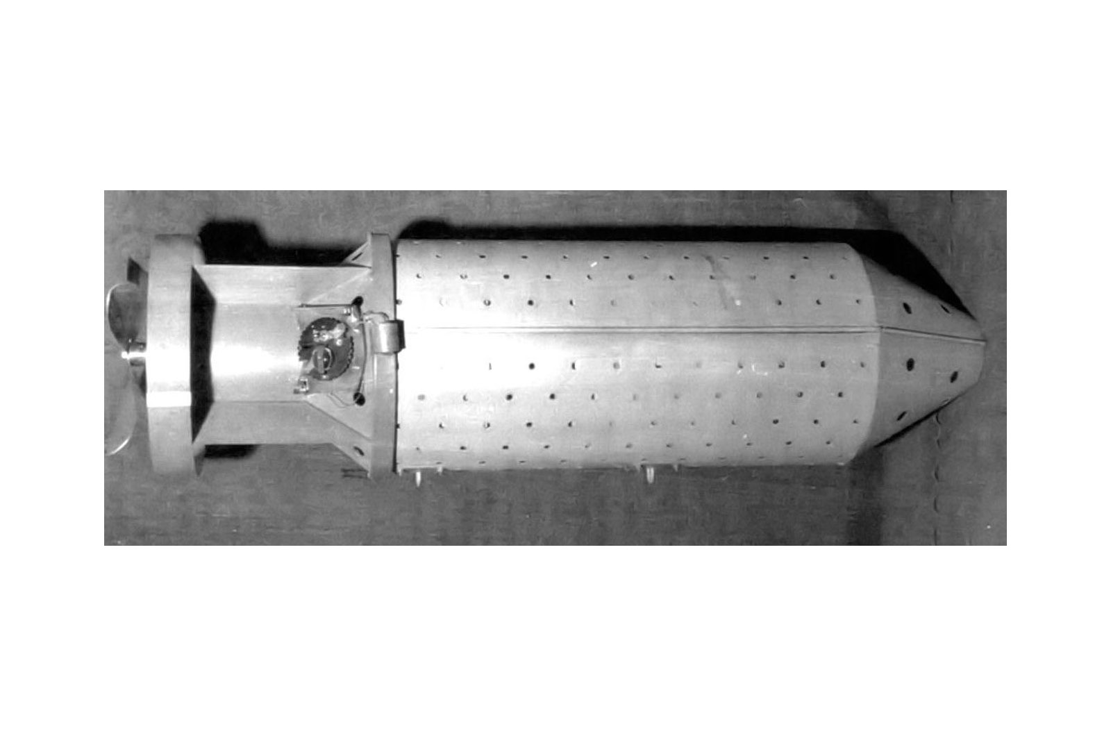 Pipistrelli al napalm