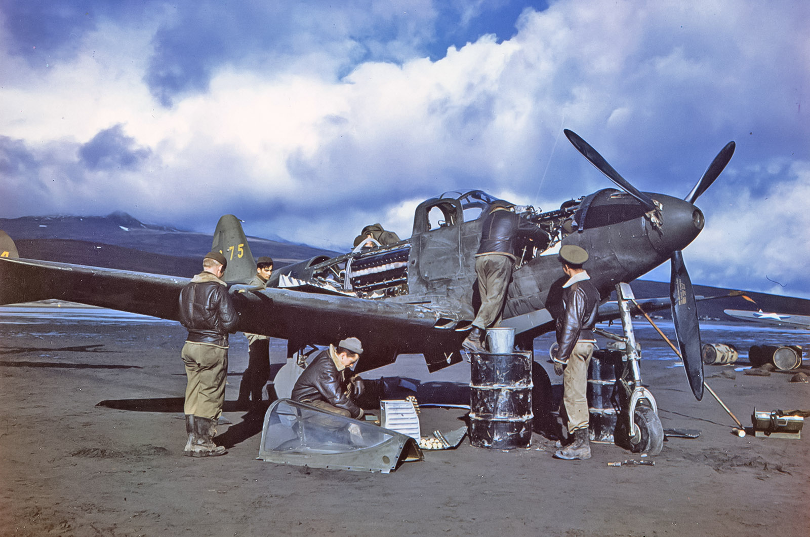  Bell P-39 Airacobra/P-63 Kingcobra