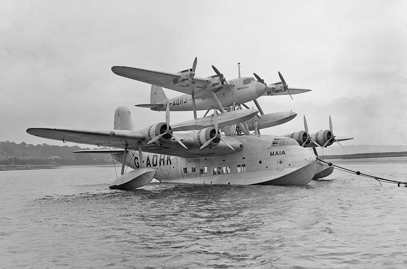 Short Mayo Composite