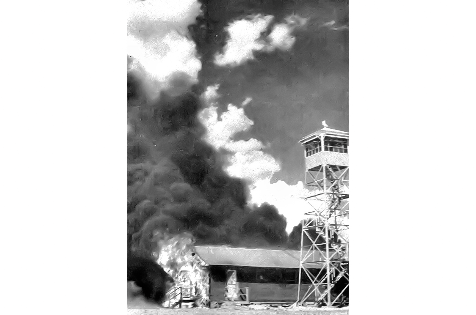 Murciélagos de napalm