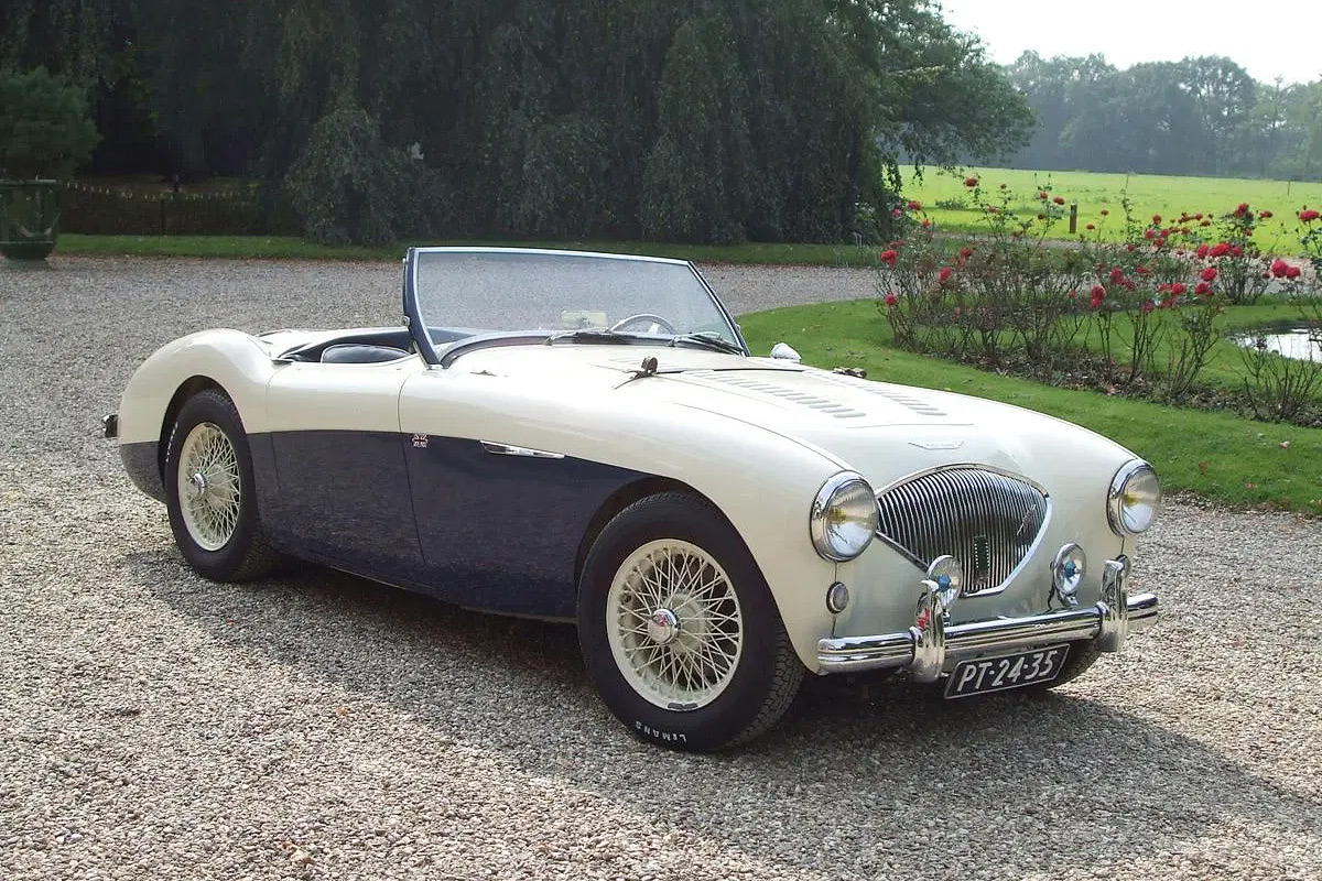  100M (1955)