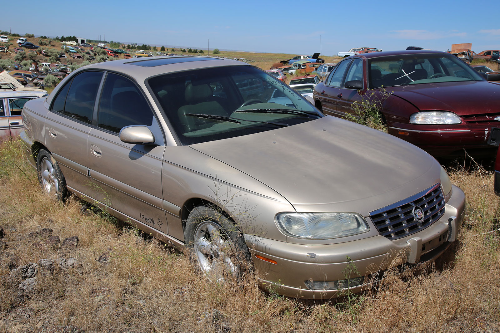 Cadillac Catera 