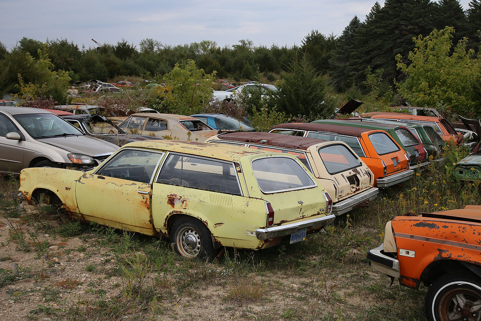 CHEVROLET VEGA KAMMBACKS